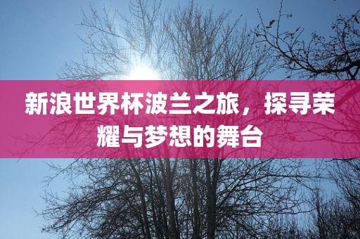 新浪世界杯波兰之旅，探寻荣耀与梦想的舞台
