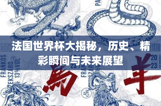 法国世界杯大揭秘，历史、精彩瞬间与未来展望