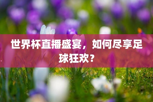 世界杯直播盛宴，如何尽享足球狂欢？