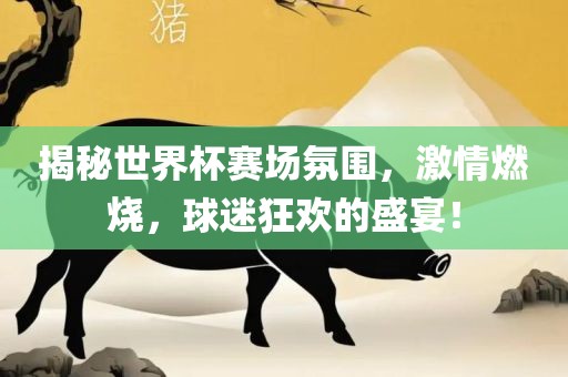 揭秘世界杯赛场氛围，激情燃烧，球迷狂欢的盛宴！