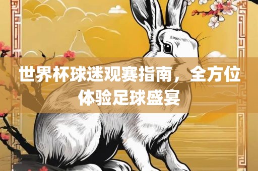世界杯球迷观赛指南，全方位体验足球盛宴