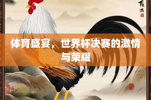 体育盛宴，世界杯决赛的激情与荣耀