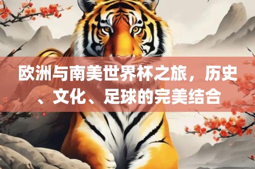 欧洲与南美世界杯之旅，历史、文化、足球的完美结合