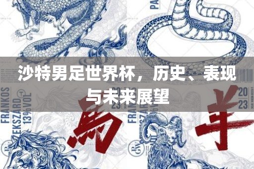 沙特男足世界杯，历史、表现与未来展望
