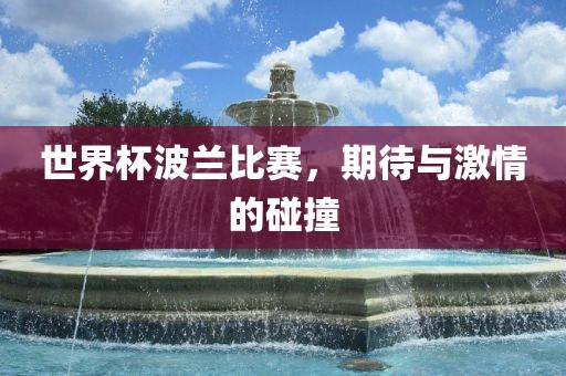 世界杯波兰比赛，期待与激情的碰撞