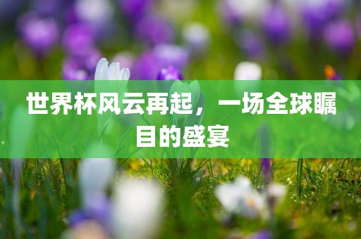 世界杯风云再起，一场全球瞩目的盛宴漯河市盈旭机械设备有限公司