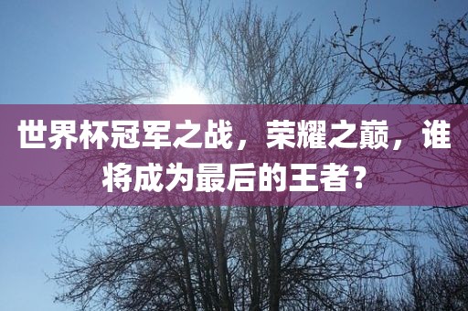 世界杯冠军之战，荣耀之巅，谁将成为最后的王者？