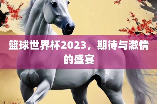 篮球世界杯2023，期待与激情的盛宴