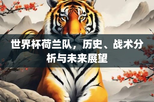 世界杯荷兰队，历史、战术分析与未来展望