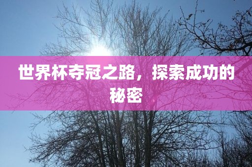 世界杯夺冠之路，探索成功的秘密