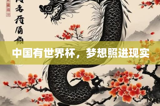 中国有世界杯，梦想照进现实