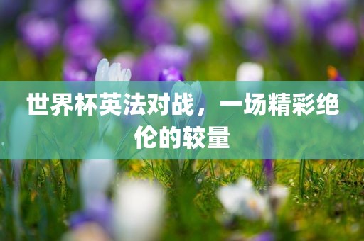 世界杯英法对漯河市盈旭机械设备有限公司战，一场精彩绝伦的较量