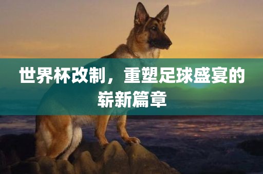 世界杯改制，重塑足球盛宴的崭新篇章漯河市盈旭机械设备有限公司