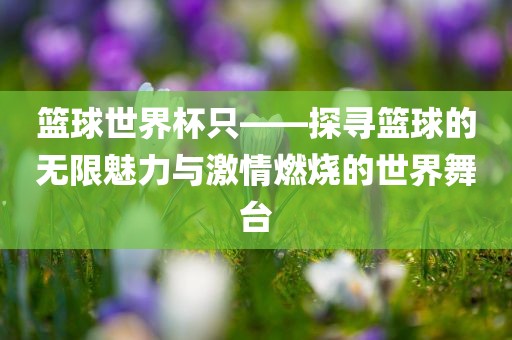 篮球世界杯只——探寻篮球的无限魅力与激情燃烧的世界舞台漯河市盈旭机械设备有限公司