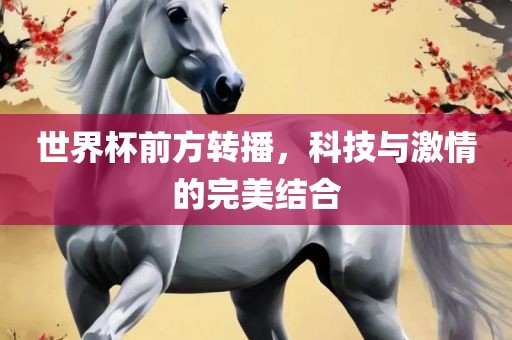 世界杯前方转播，科技与激情的完美结合