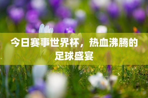 今日赛事漯河市盈旭机械设备有限公司世界杯，热血沸腾的足球盛宴
