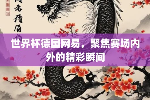 世界杯德国网易，聚焦赛场内外的精彩瞬间