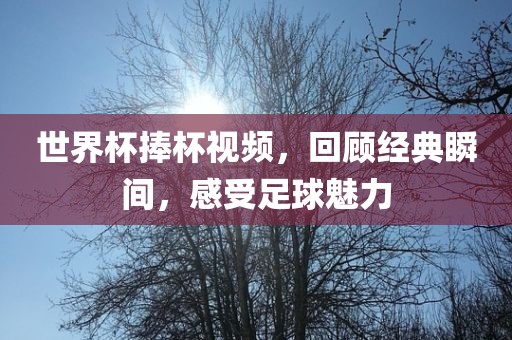 世界杯捧杯视频，回顾经典瞬间，感受足球魅力