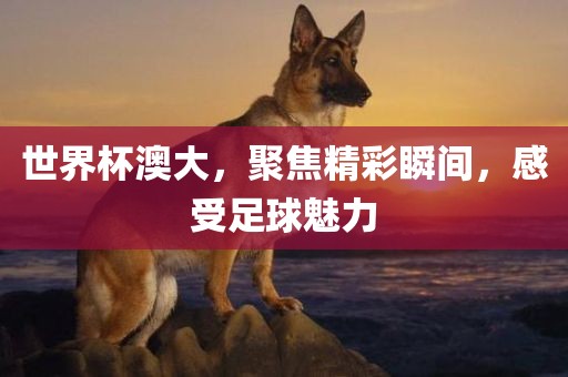 世界杯澳大，聚焦精彩瞬间，感受足球魅力