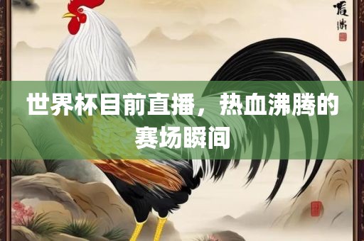 世界杯目前直播，热血沸腾的赛场瞬间