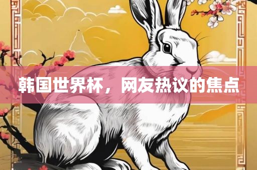 韩国世界杯，网友热议的焦点