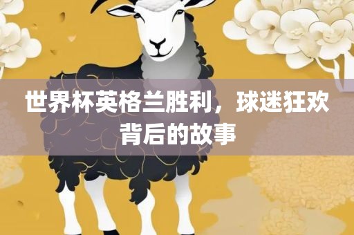 世界杯英格兰胜利，球迷狂欢背后的故事