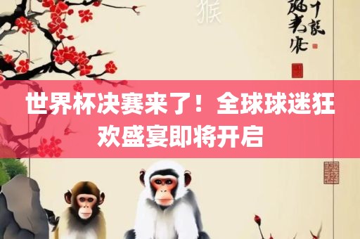 世界杯决赛来了！全球球迷狂欢盛宴即将开启