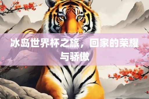 冰岛世界杯之旅，回家的荣耀与骄傲