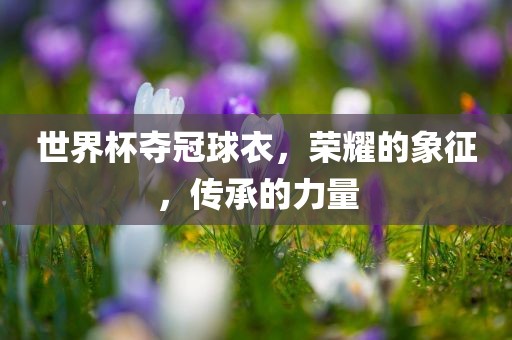 世界杯夺冠球衣，荣耀的象征，传承的力量