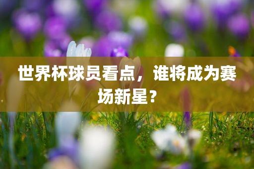 世界杯球员看点，谁将成为赛场新星？