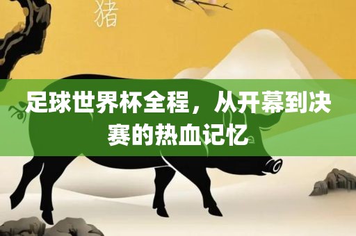 足球世界杯全程，从开幕到决赛的热血记忆