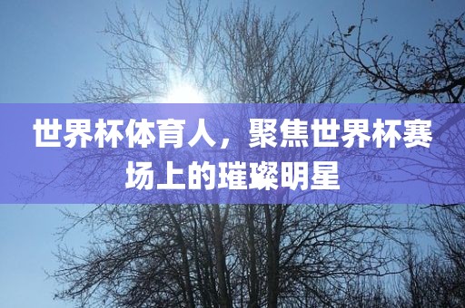 世界杯体育人，聚焦世界杯赛场上的璀璨明星