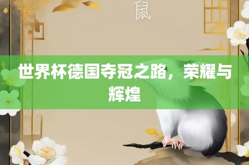 世界杯德国夺冠之路，荣耀与辉煌
