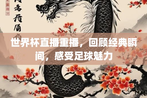世界杯直播重播，回顾经典瞬间，感受足球魅力