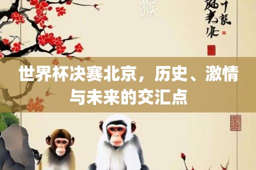 世界杯决赛北京，历史、激情与未来的交汇点
