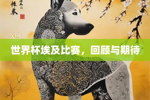 世界杯埃及比赛，回顾与期待