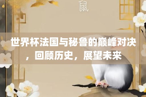 世界杯法国与秘鲁的巅峰对决，回顾历史，展望未来