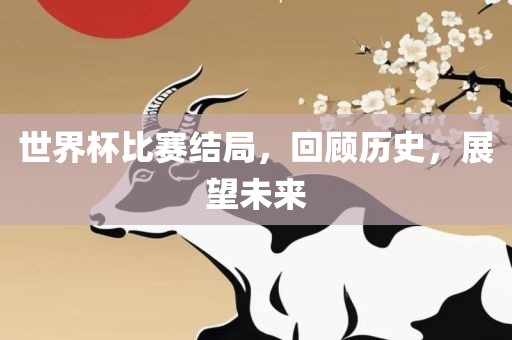 世界杯比赛结局，回顾历史，展望未来