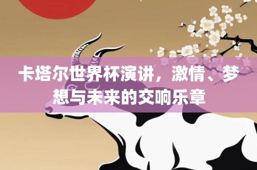 卡塔尔世界杯演讲，激情、梦想与未来的交响乐章