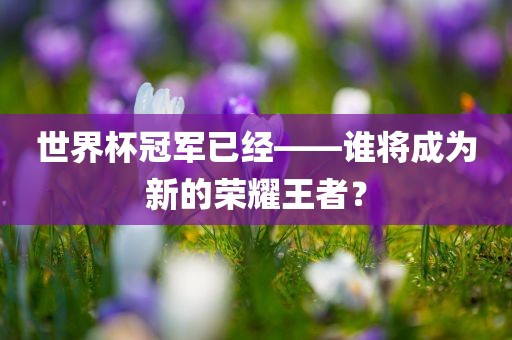 世界杯冠军已经——谁将成为新的荣耀王者？漯河市盈旭机械设备有限公司