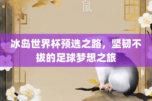 冰岛世界杯预选之路，坚韧不拔的足球梦想之旅
