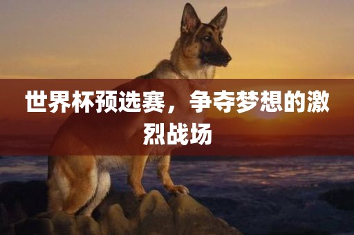 世界杯预选赛，争夺梦想的激烈战场