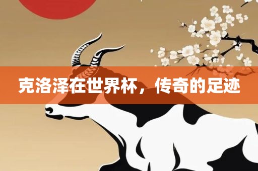 克洛泽在世界杯，传奇的足迹