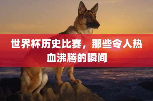 世界杯历史比赛，那些令人热血沸腾的瞬间