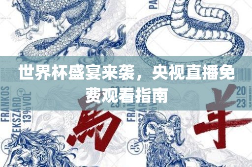 世界杯盛宴来袭，央视直播免费观看指南漯河市盈旭机械设备有限公司
