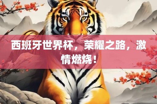 西班牙世界杯，荣耀之路，激情燃烧！
