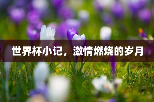 世界杯小记，激情燃烧的岁月