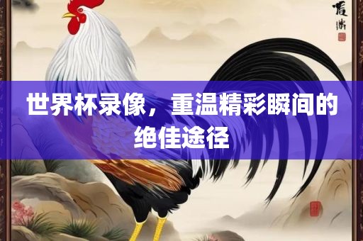 世界杯录像，重温精彩瞬间的绝佳途径