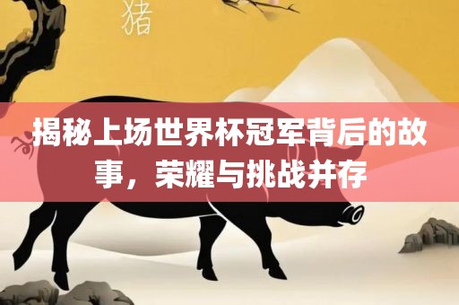 揭秘上场世界杯冠军背后的故事，荣耀与挑战并存漯河市盈旭机械设备有限公司