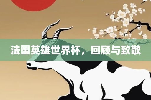 法国英雄世界杯，回顾与致敬漯河市盈旭机械设备有限公司